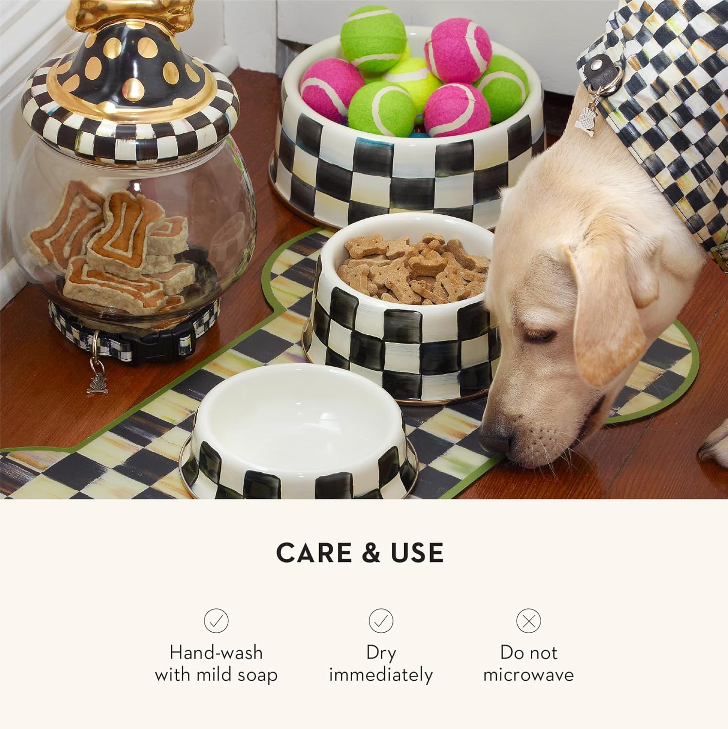 Black-and-white checkered ceramic pet bowl for cats and dogs, large size with food and water sections โ view 2