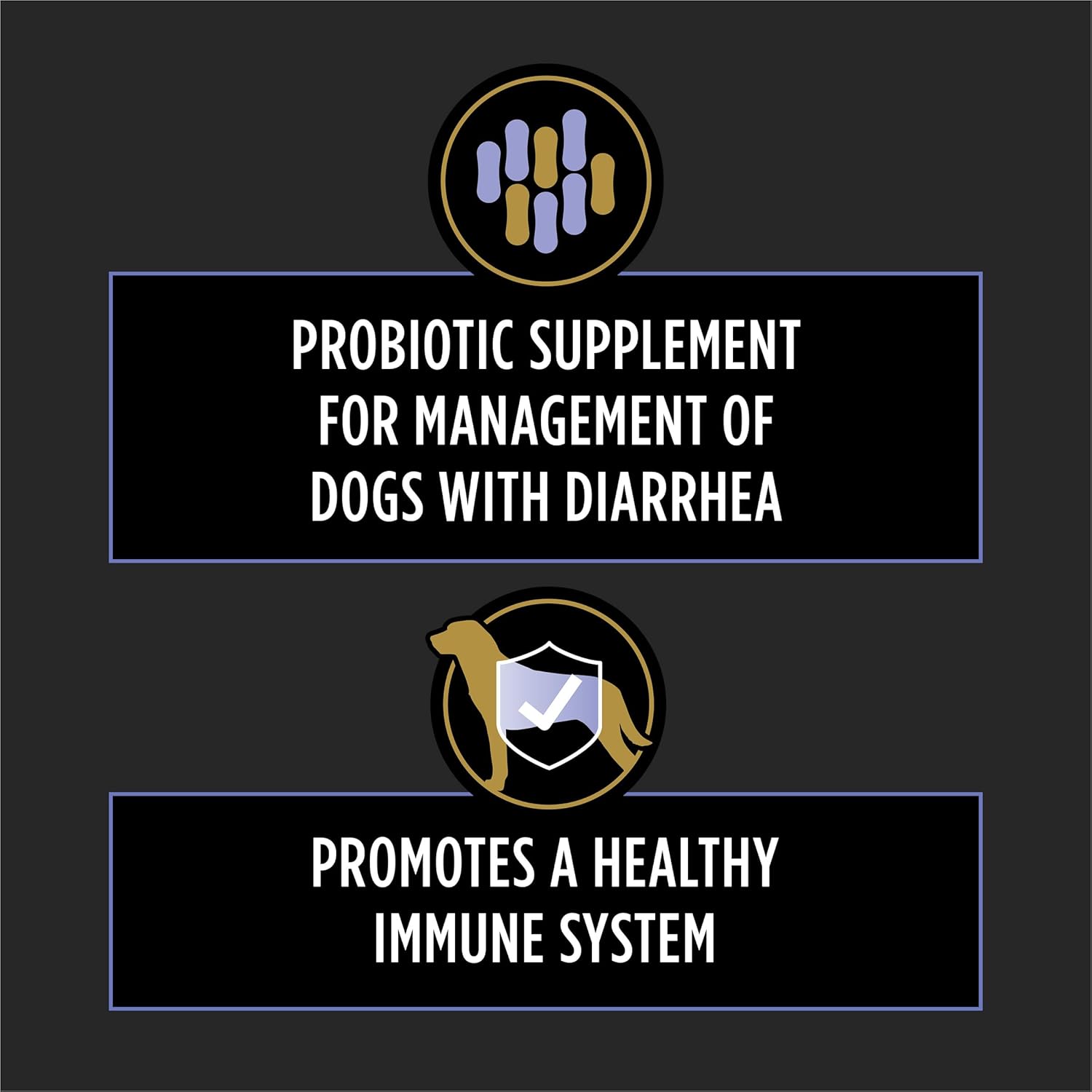 White and brown probiotic chewable tablet for dogs, digestive health support supplement — view 4