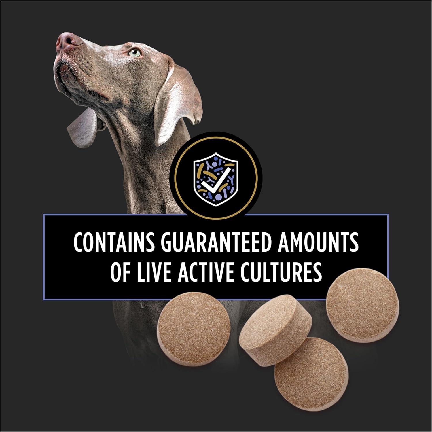 White and brown probiotic chewable tablet for dogs, digestive health support supplement — back