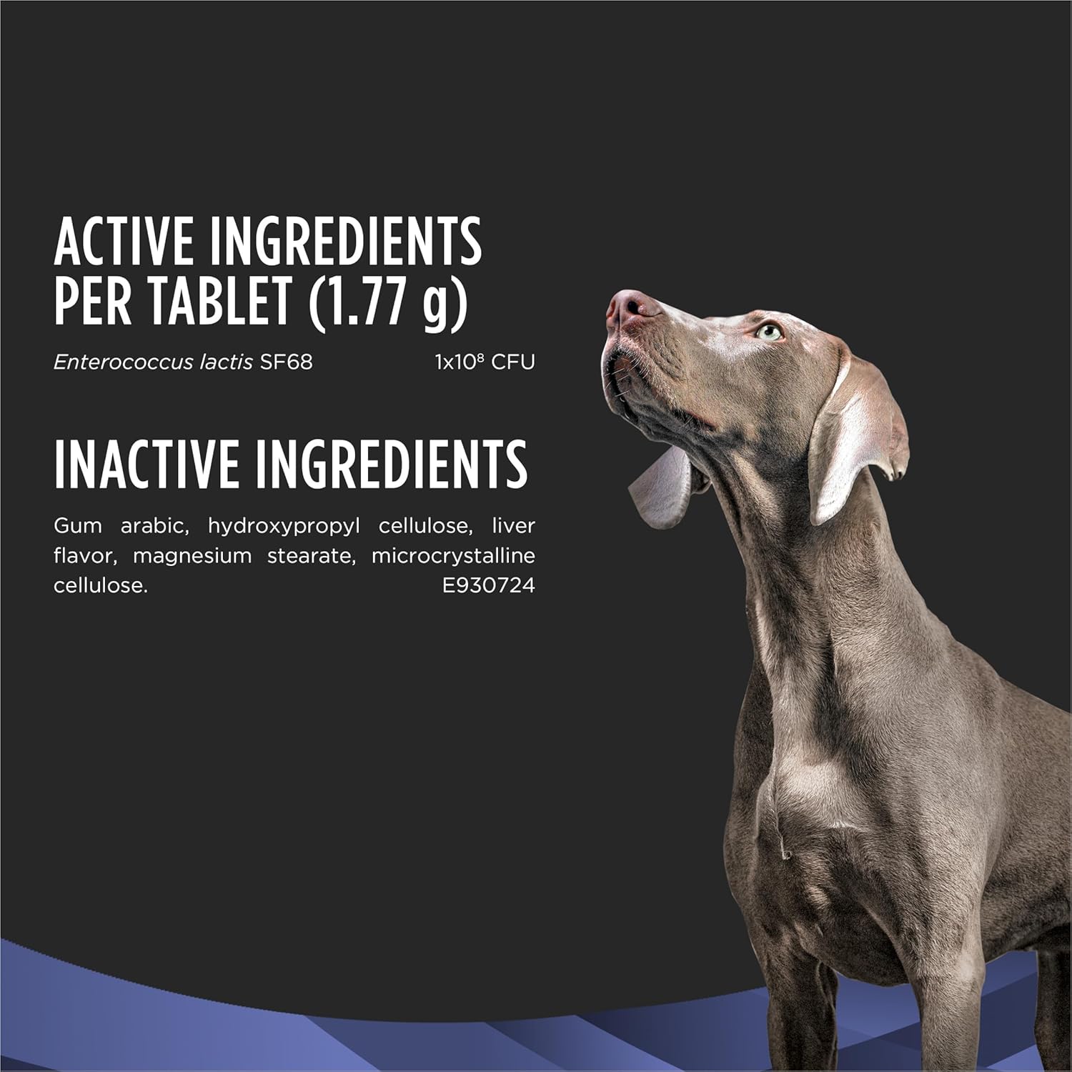 White and brown probiotic chewable tablet for dogs, digestive health support supplement — detail
