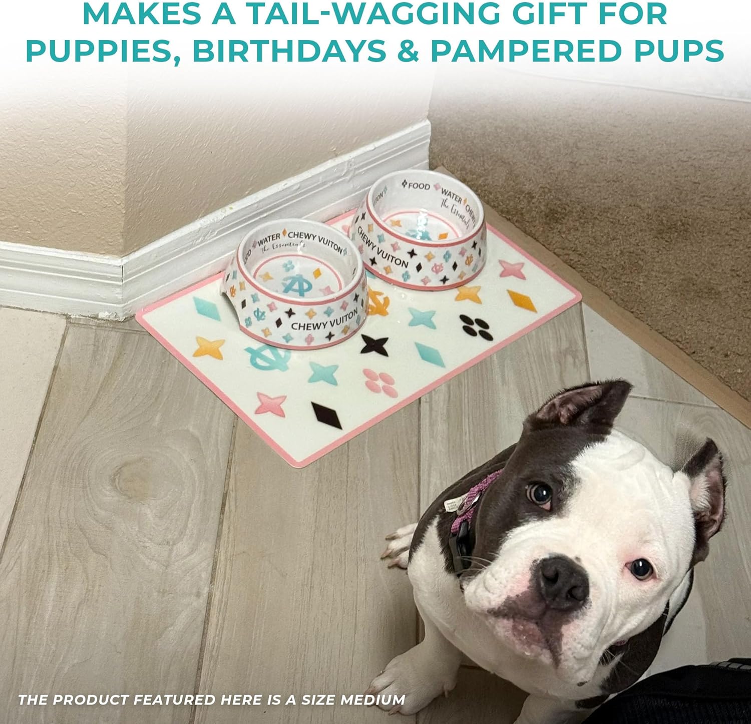 White BPA-free dog food and water bowls with non-skid bottom and matching placemat — view 4