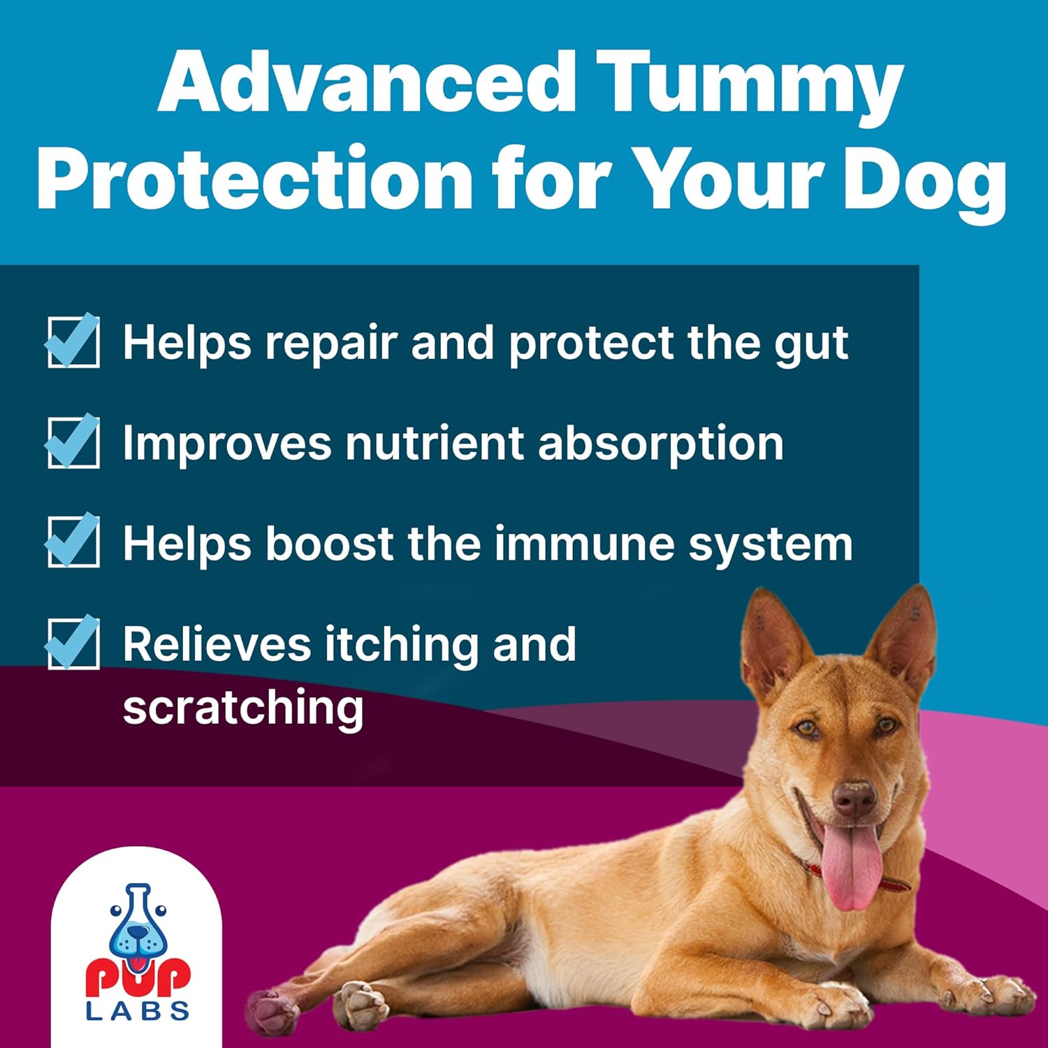 Natural prebiotic powder supplement for dogs in white scoop, digestive health support formula โ view 2