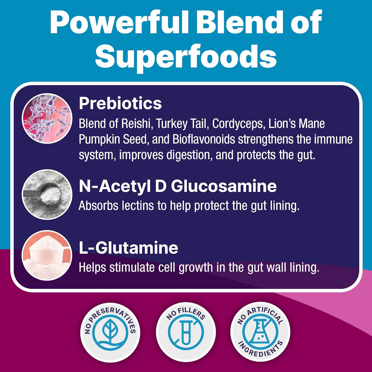 Natural prebiotic powder supplement for dogs in white scoop, digestive health support formula โ view 3