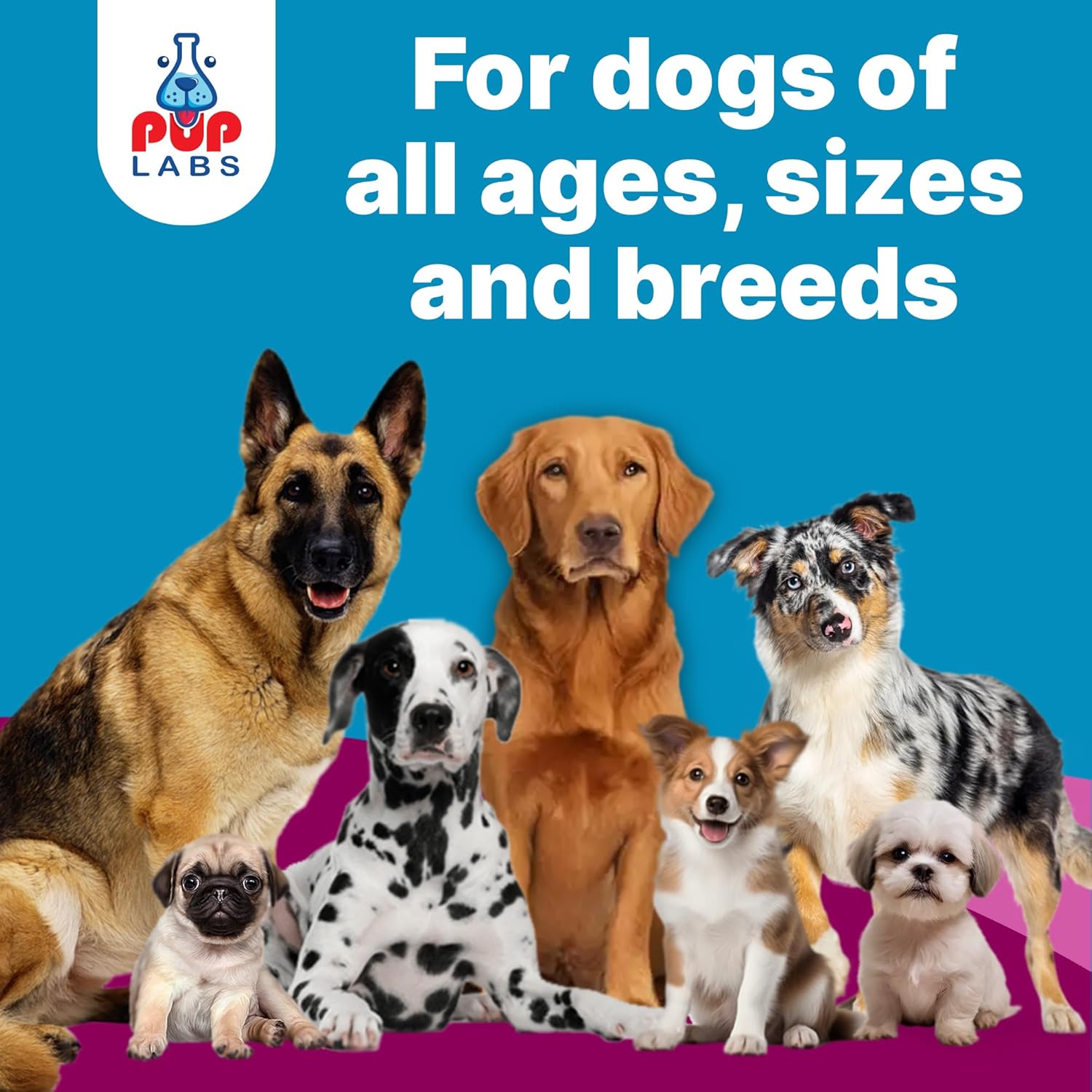 Natural prebiotic powder supplement for dogs in white scoop, digestive health support formula โ view 2