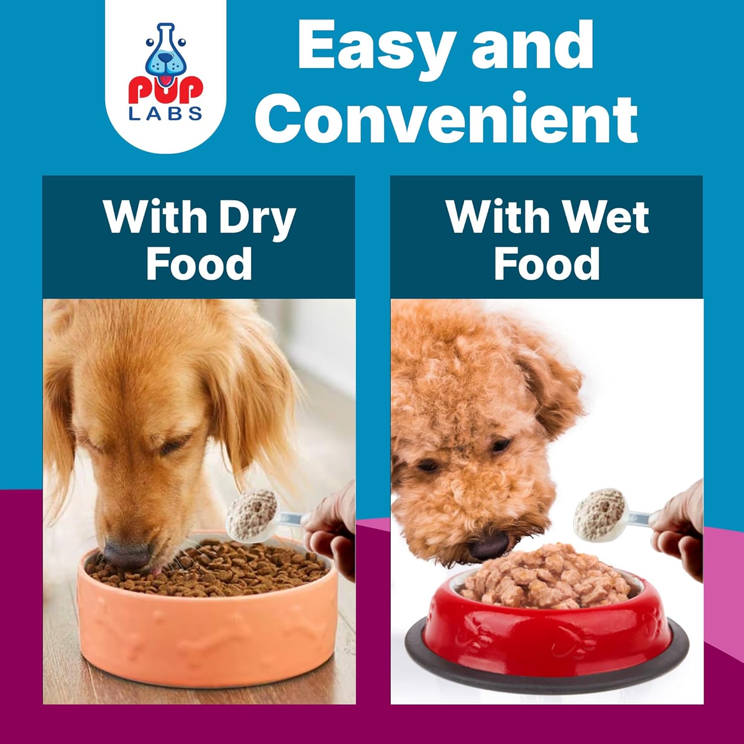 Natural prebiotic powder supplement for dogs in white scoop, digestive health support formula โ view 3