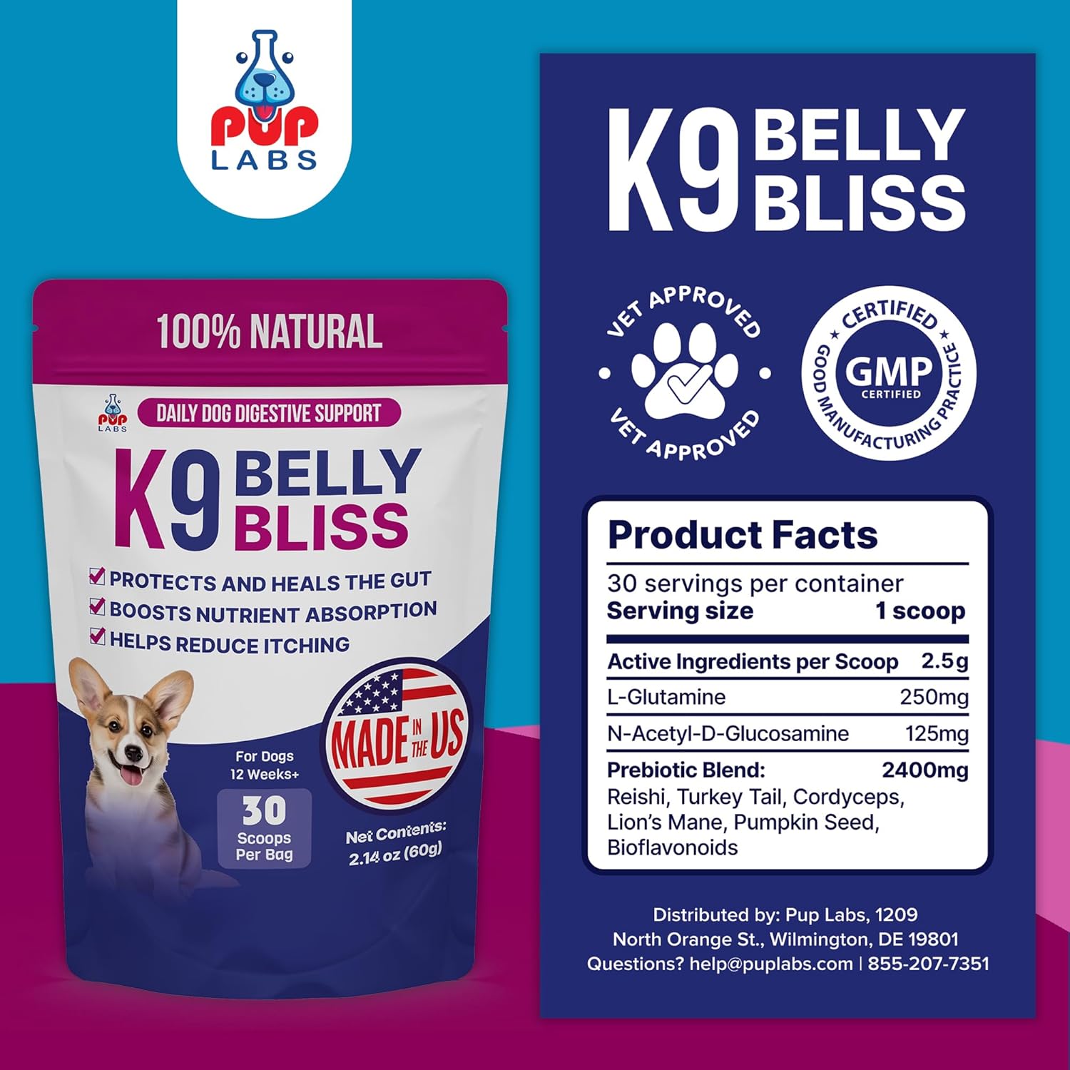 Natural prebiotic powder supplement for dogs in white scoop, digestive health support formula โ view 4