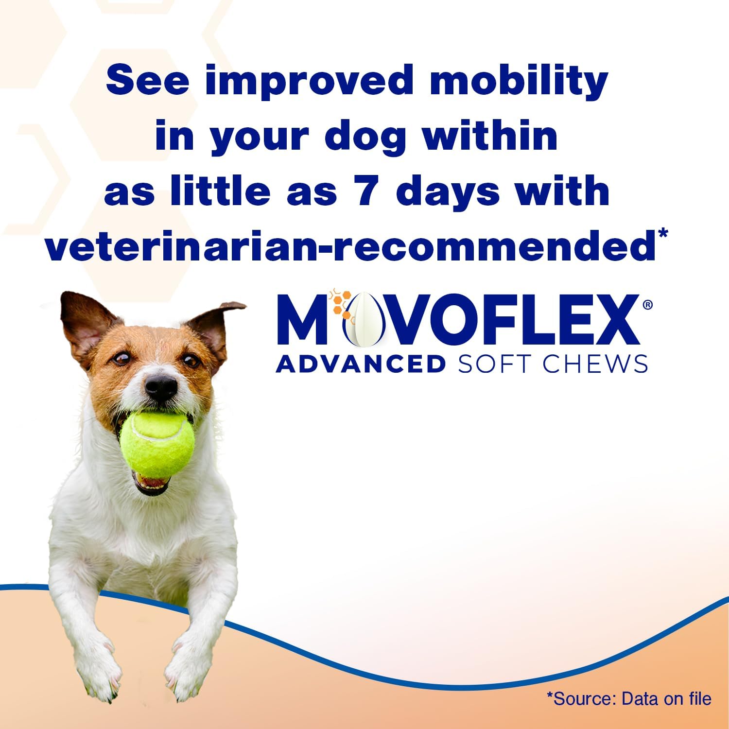Advanced soft chews for hip and joint support in medium dogs, daily wellness supplement for senior dog mobility โ view 2