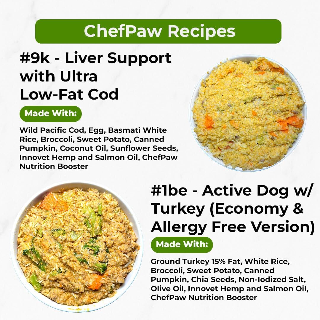 Stainless steel automatic pet food maker with built-in mixer, cooker, and digital scale for fresh home-cooked dog meals — view 4