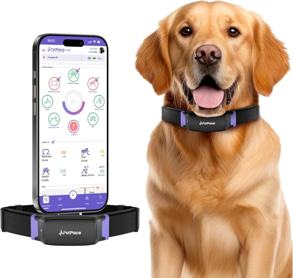 AI Smart Dog Health Monitor Collar with 24/7 Vital Signs & GPS