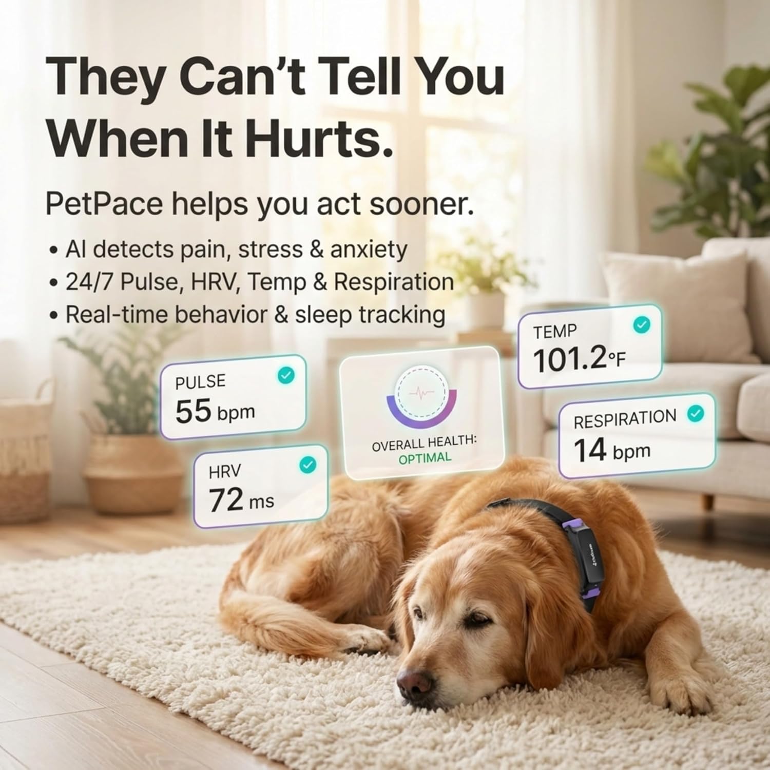 AI smart dog health monitor collar in black silicone with stainless steel accents, displaying 24/7 vital signs tracking and GPS functionality — side
