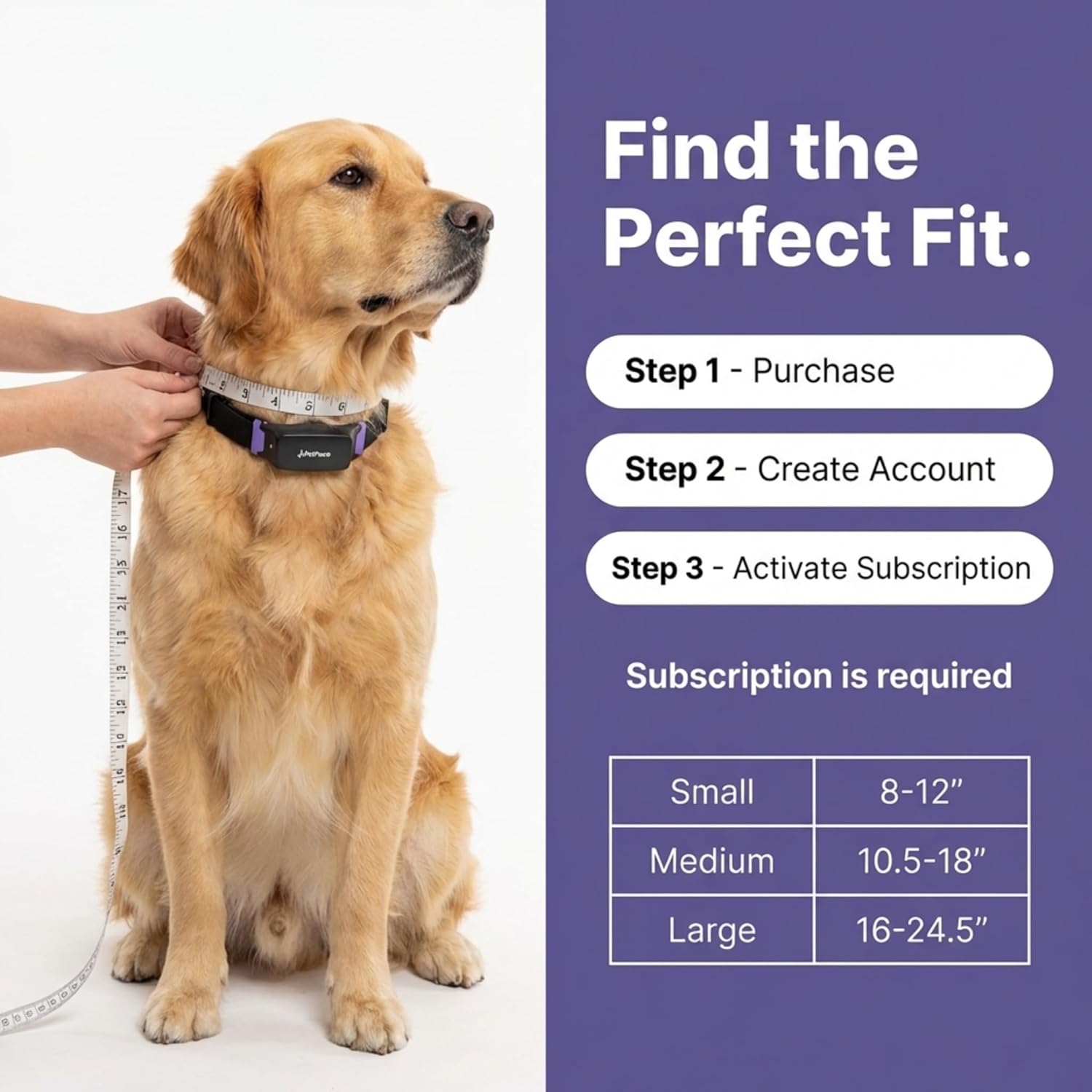 AI smart dog health monitor collar in black silicone with stainless steel accents, displaying 24/7 vital signs tracking and GPS functionality — back
