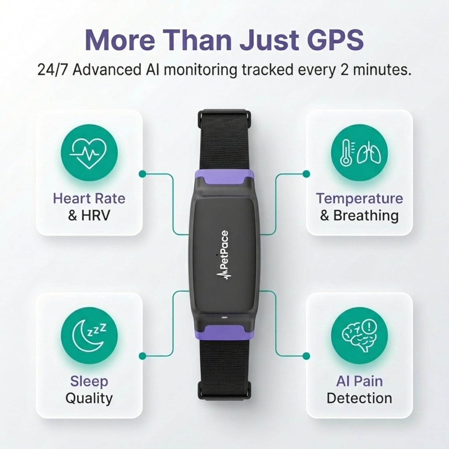 AI smart dog health monitor collar in black silicone with stainless steel accents, displaying 24/7 vital signs tracking and GPS functionality — view 3