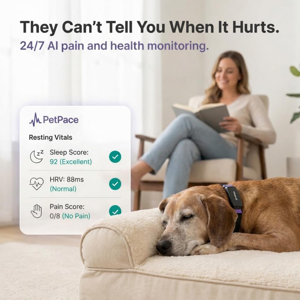 AI smart dog health monitor collar in black silicone with stainless steel accents, displaying 24/7 vital signs tracking and GPS functionality — view 4