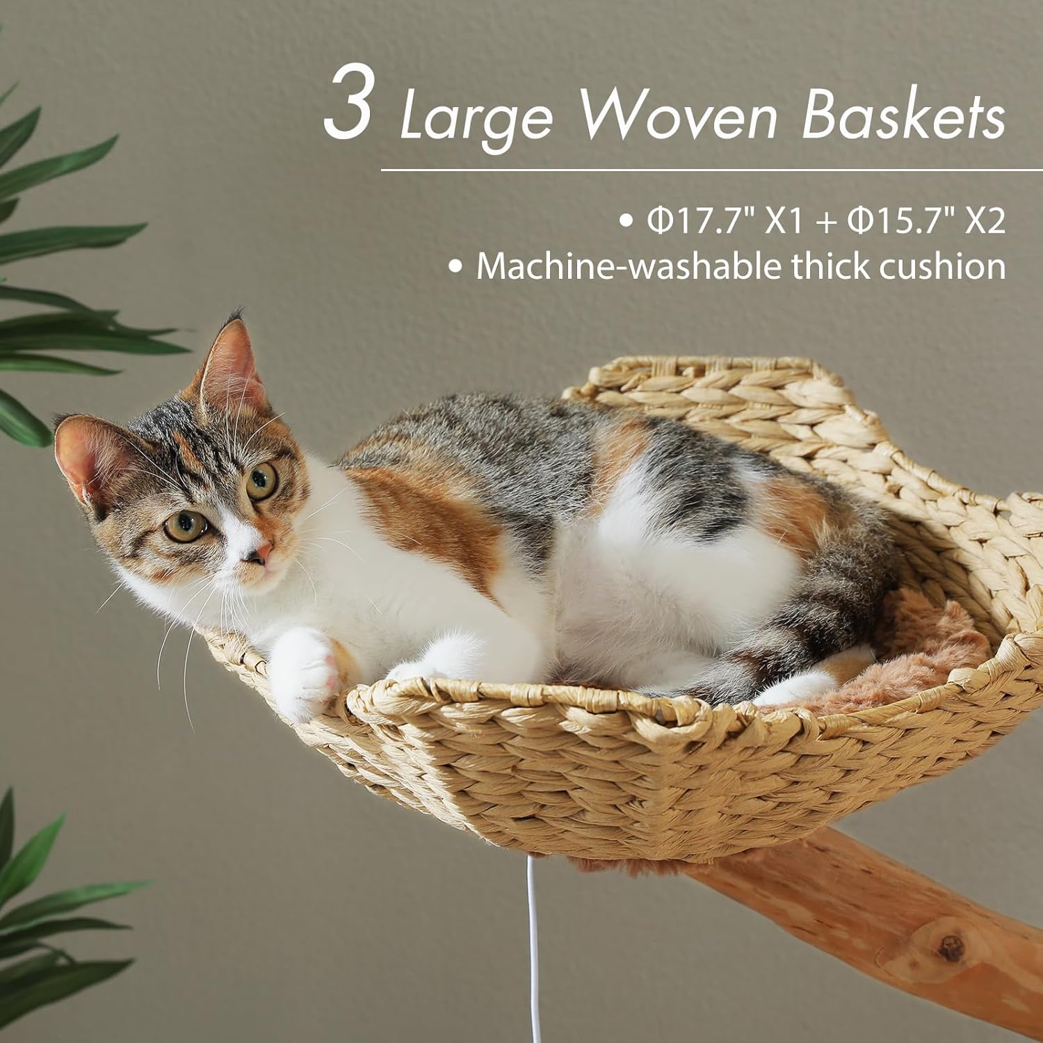 Brown modern cat tree with natural solid wood construction, 59 inches tall with multiple baskets and hammock for large indoor cats โ view 4