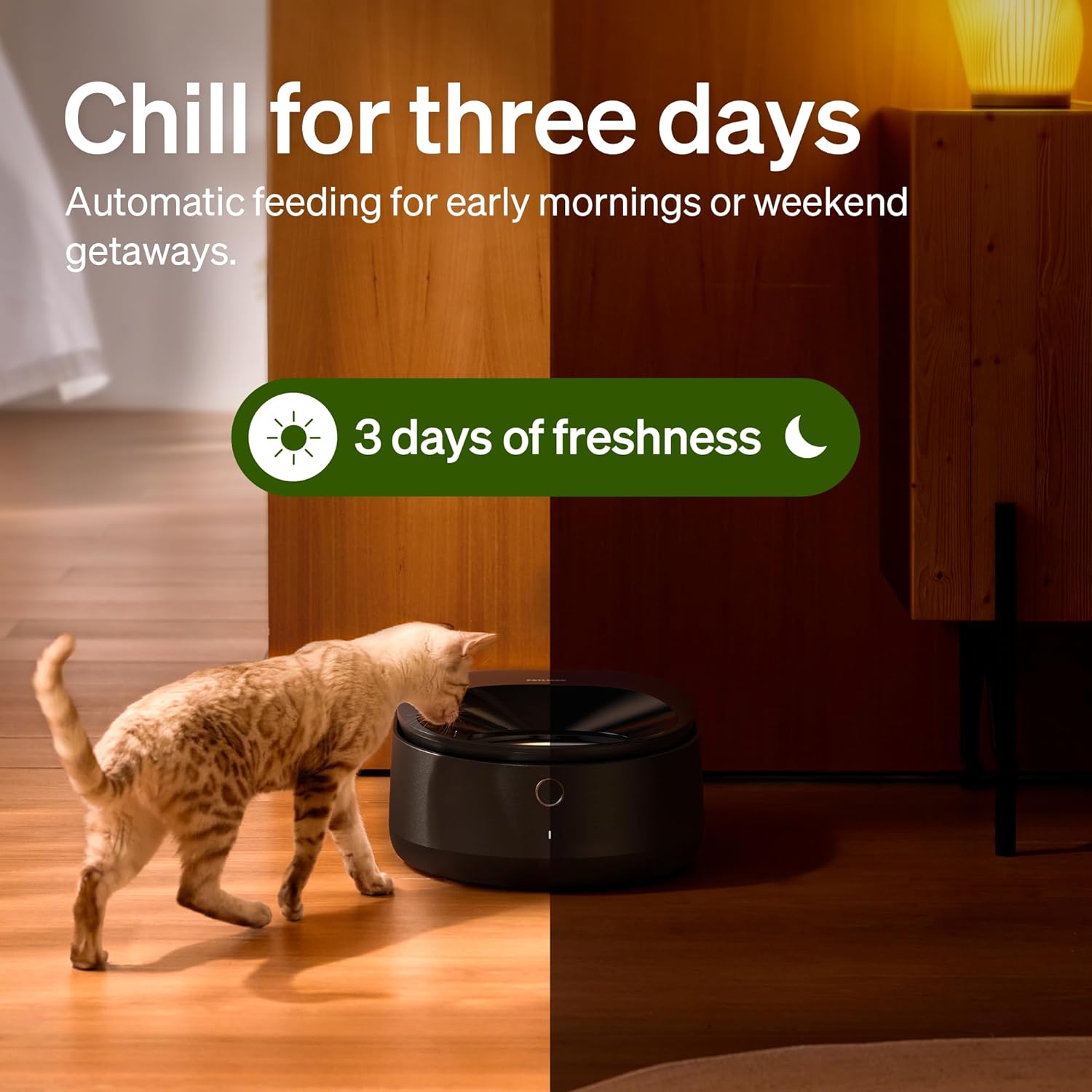 Stainless steel automatic wet food cat feeder with app control and semiconductor cooling system โ view 2