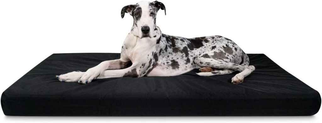Orthopedic Dog Bed for Large Dogs — Honest Review