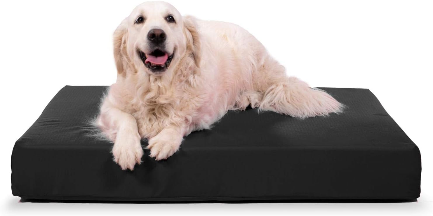 Black orthopedic dog bed with ripstop nylon cover, extra-large size for senior dogs — back