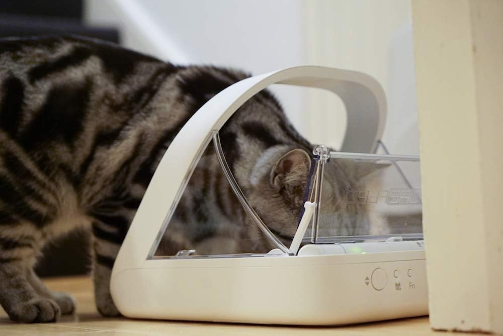 Stainless steel microchip automatic pet feeder with selective feeding for cats and dogs — view 3a