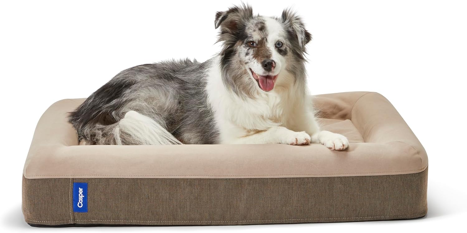 Sand plush memory foam orthopedic dog bed for senior dogs, large 35x45 inch size with joint support — view 1