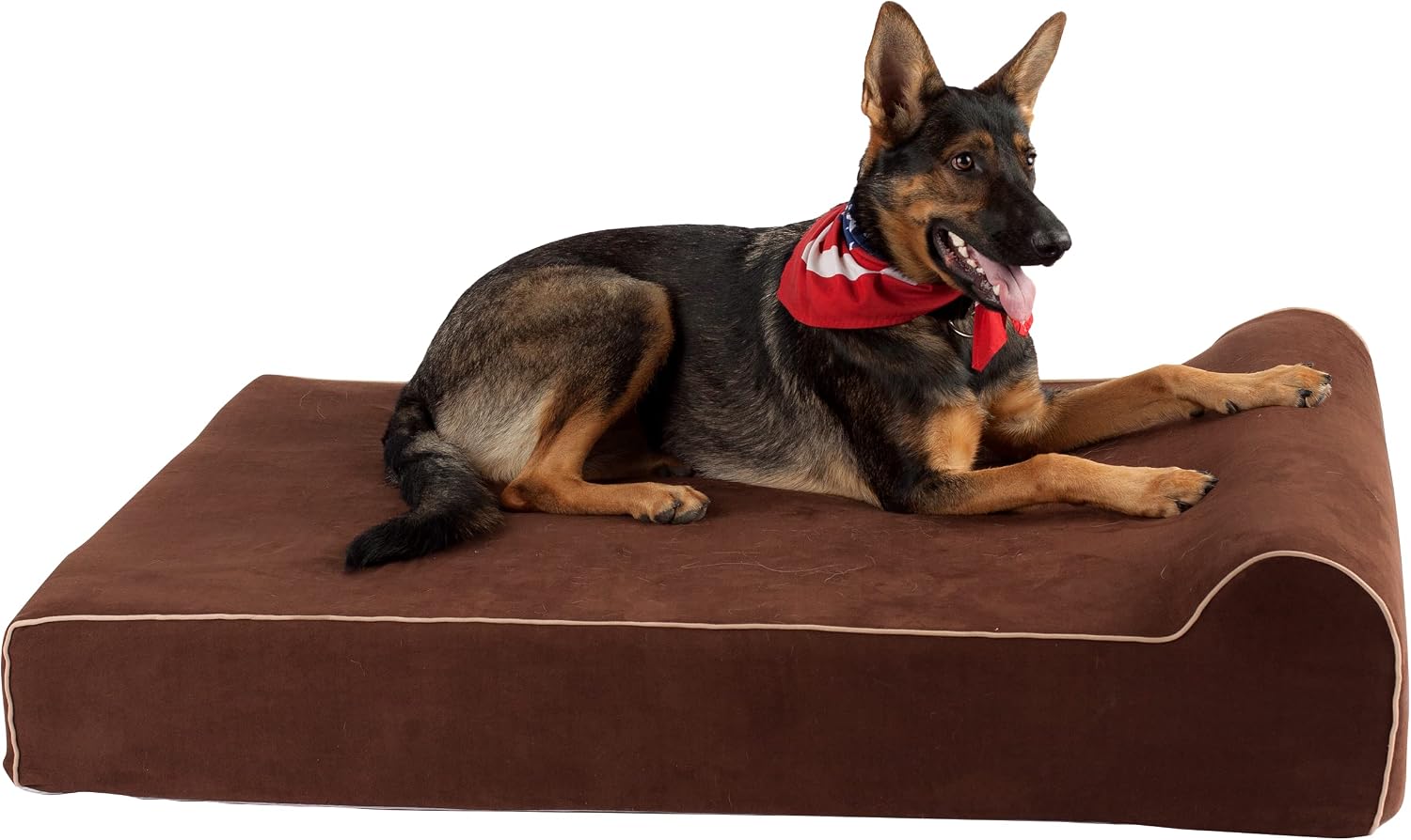 Gray orthopedic memory foam dog bed with waterproof liner, extra-large size for senior and giant dogs with joint support — back