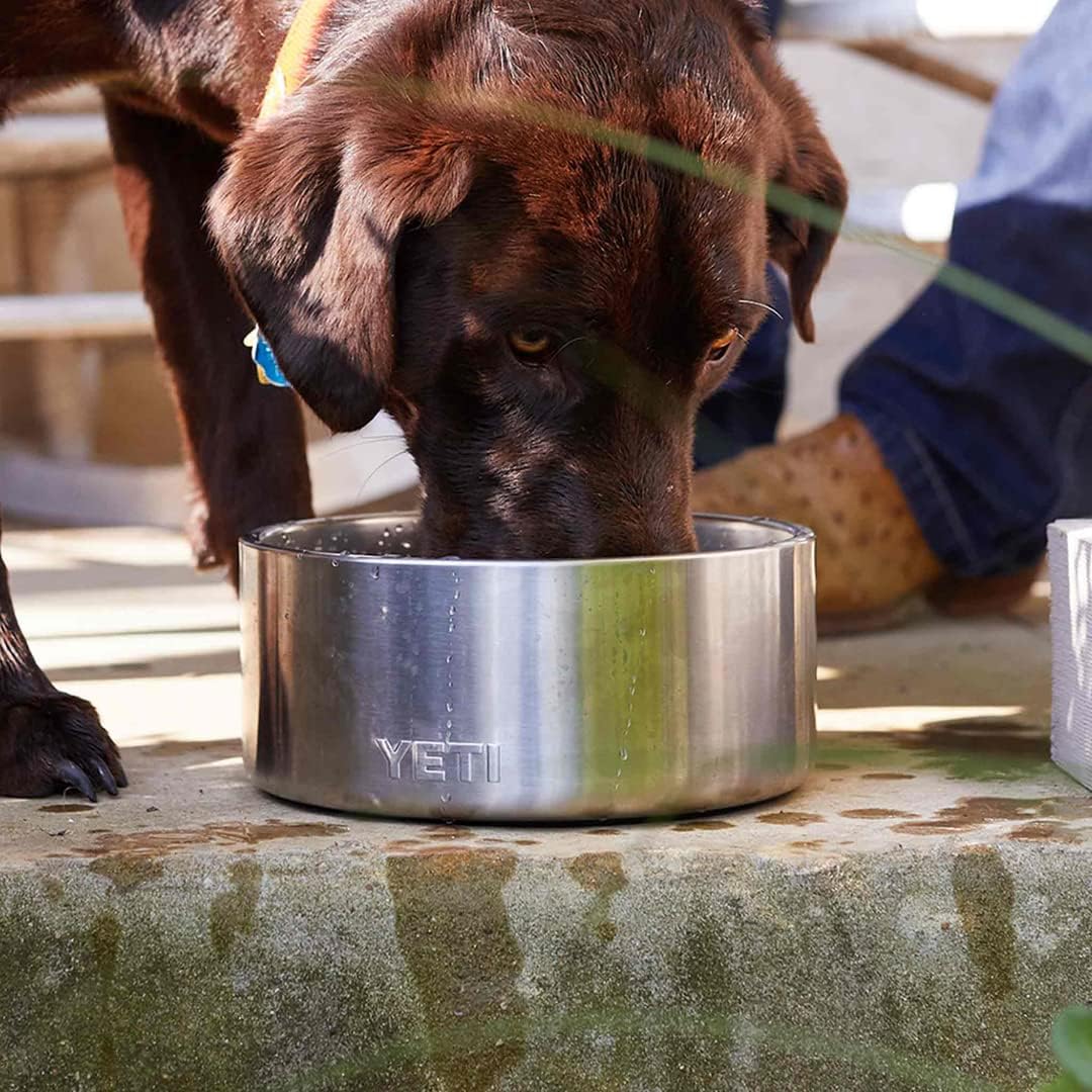 Stainless steel dog bowl with non-slip base, 32-ounce capacity for daily feeding — view 4