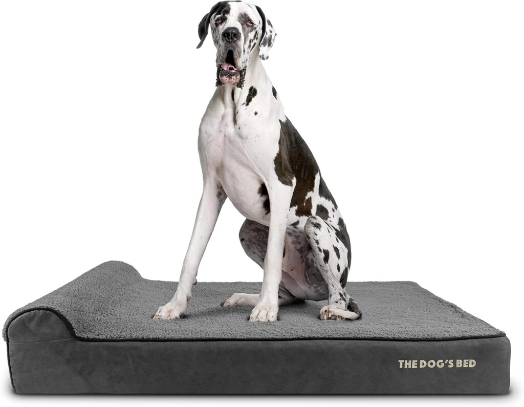 Orthopedic Memory Foam Dog Bed for Senior Dogs | Review