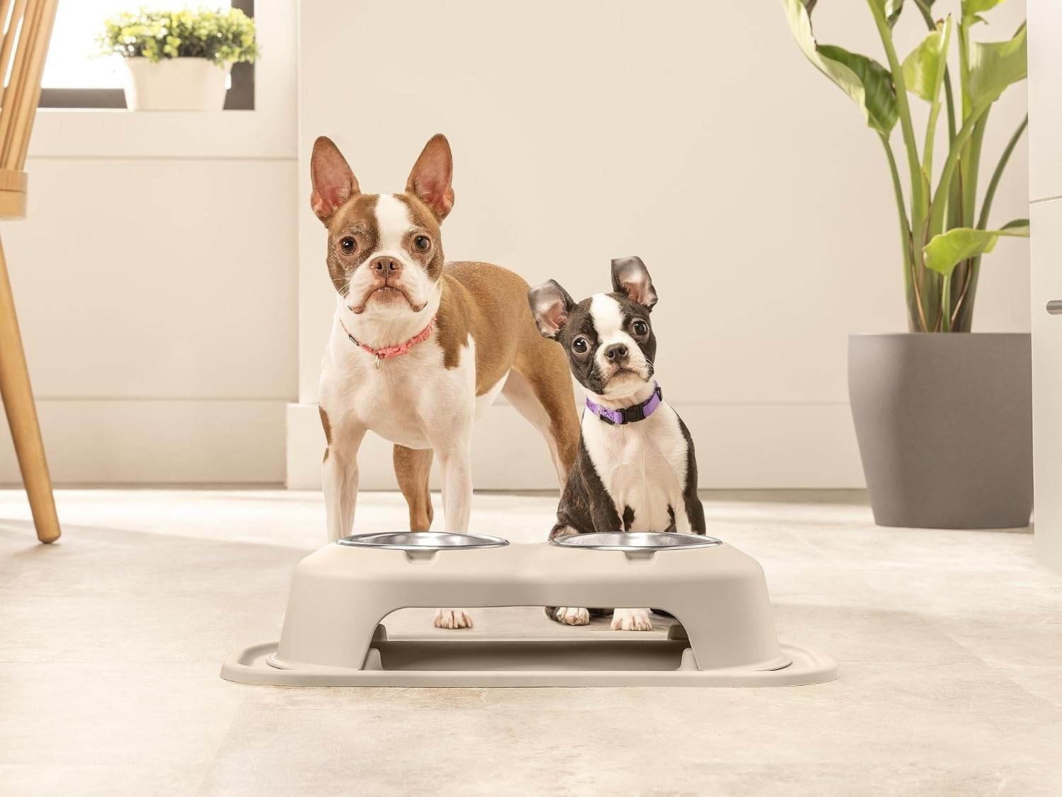 Dark grey elevated dog and cat feeding system with stainless steel bowls, 12 inch high ergonomic design — view 7b