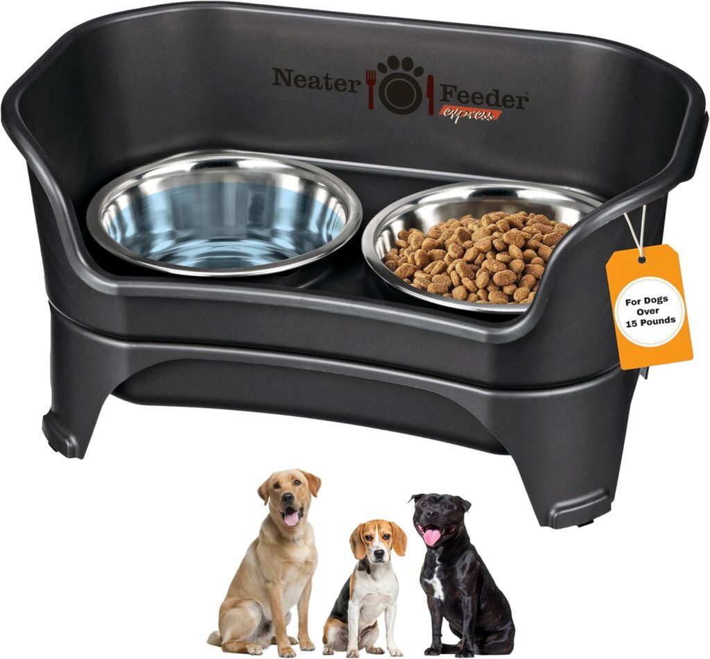 Elevated Dog Feeder for Medium & Large Dogs — Honest Review