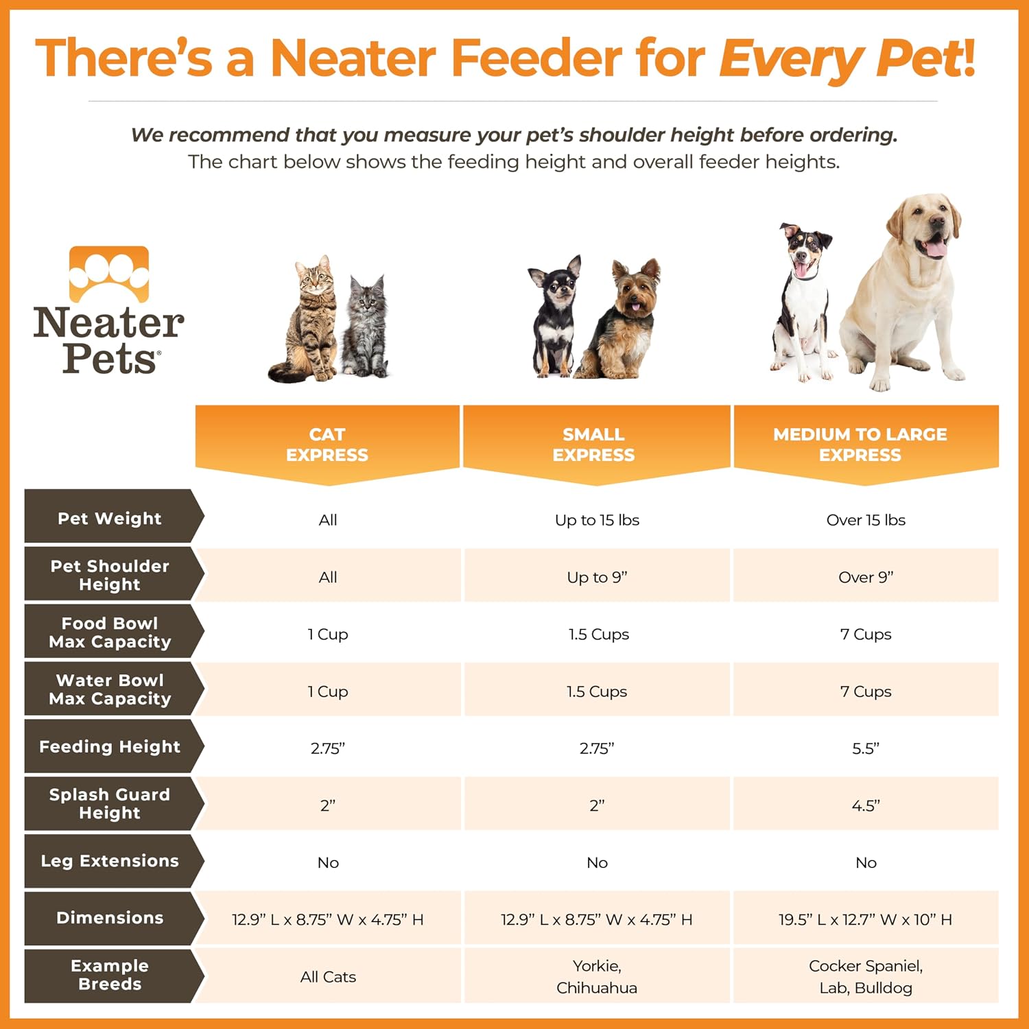 Black elevated dog feeder station with stainless steel bowls for medium to large breeds — view 4