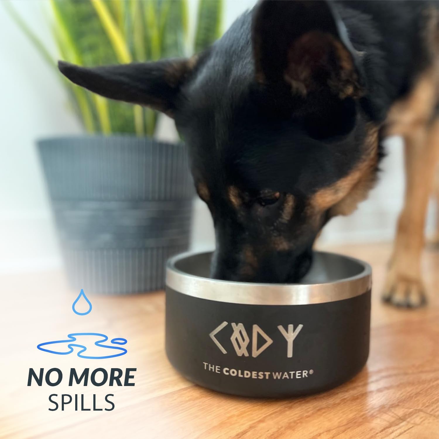 Epic white insulated stainless steel dog bowl with non-slip silicone base, spill-proof design for pets โ view 6