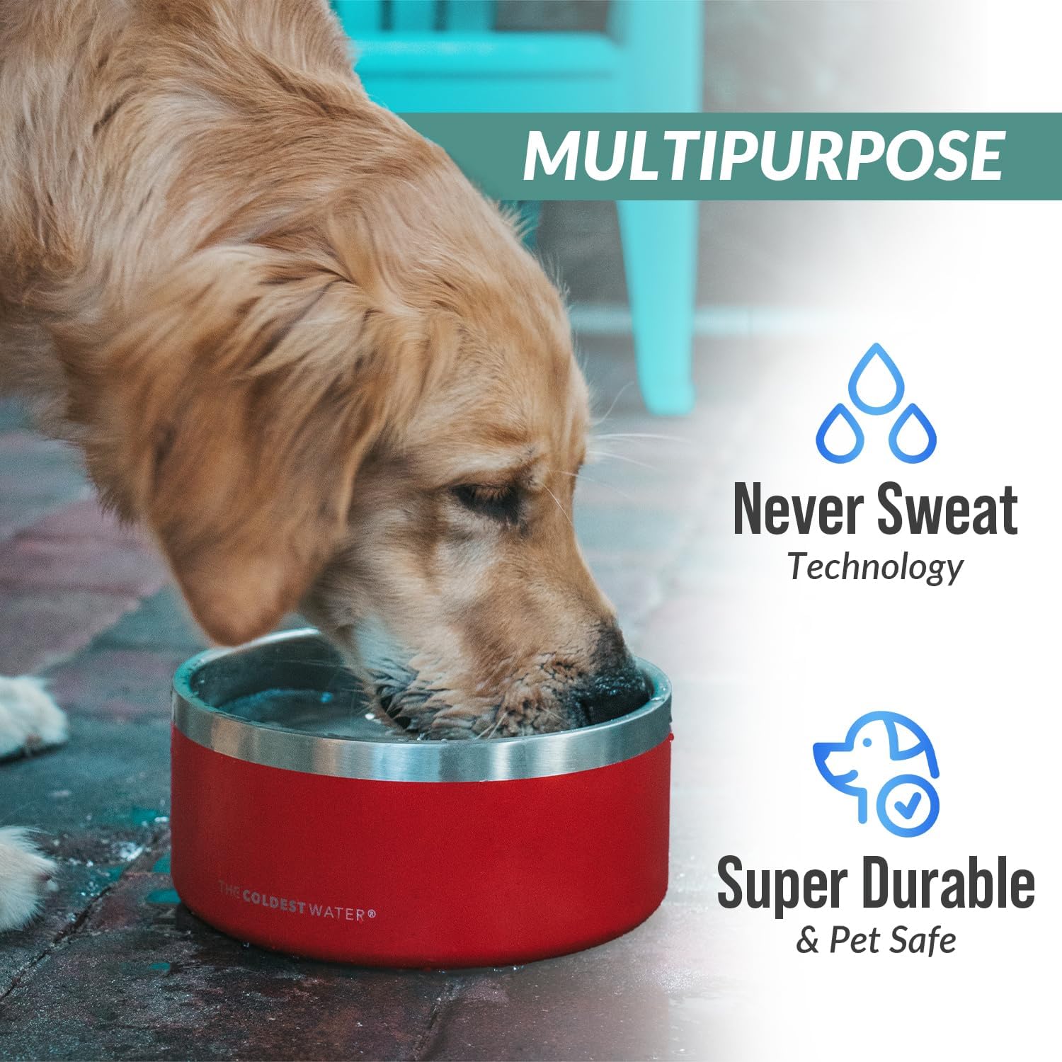 Epic white insulated stainless steel dog bowl with non-slip silicone base, spill-proof design for pets โ view 7a