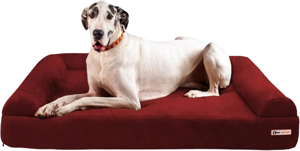 Big Barker