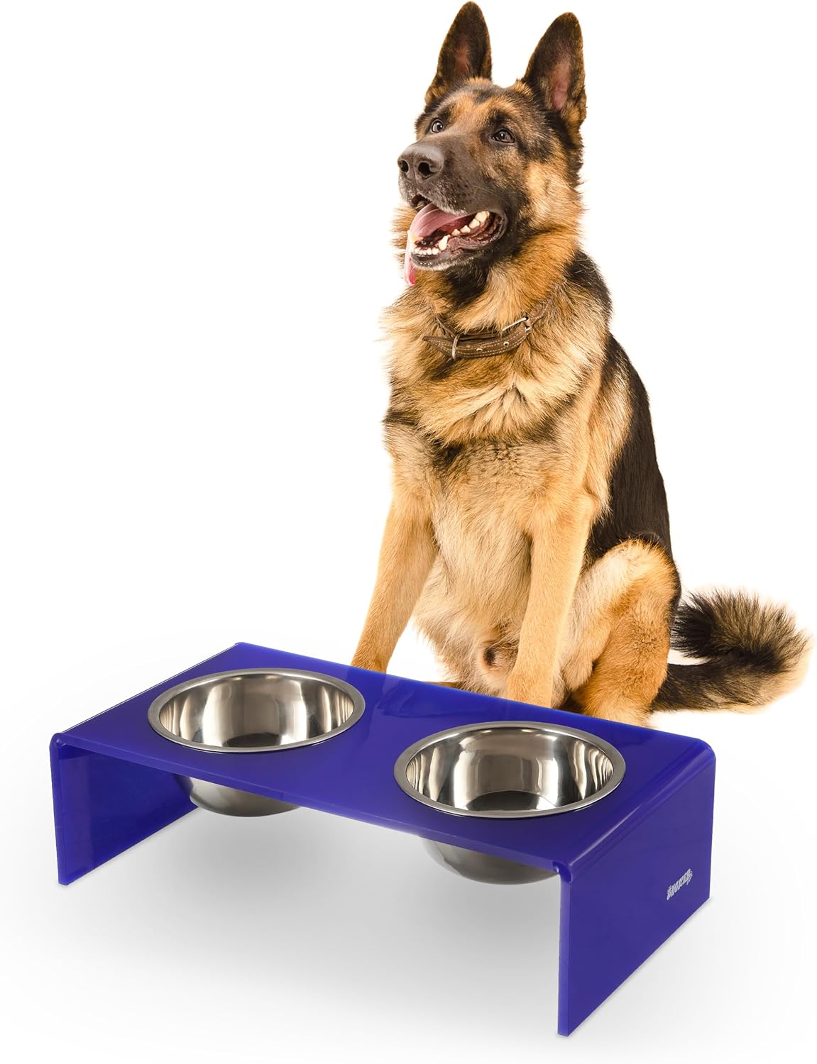 Black and gold modern lucite elevated pet feeder with dual stainless steel bowls for small dogs and cats — view 4
