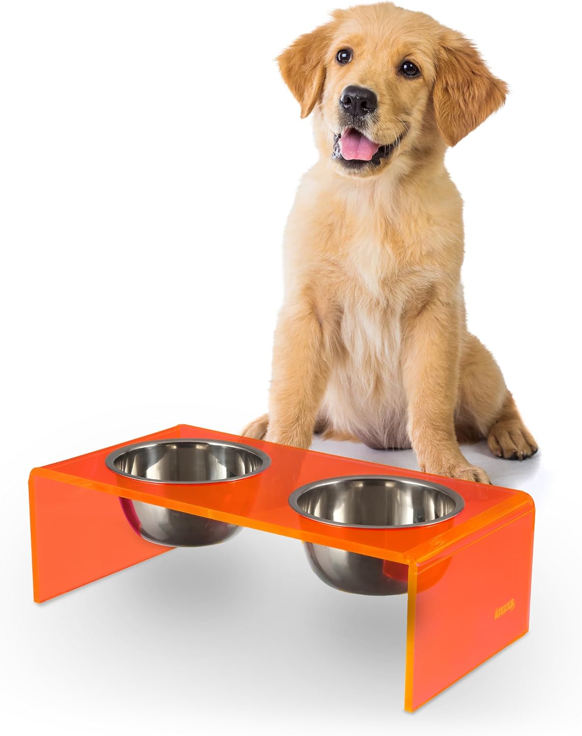 Black and gold modern lucite elevated pet feeder with dual stainless steel bowls for small dogs and cats — back