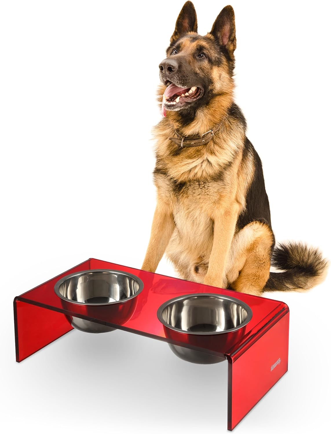 Black and gold modern lucite elevated pet feeder with dual stainless steel bowls for small dogs and cats — detail
