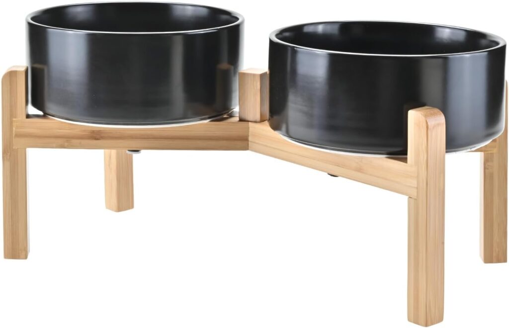 Elevated Dog Bowls for Medium-Large Dogs: Honest Review
