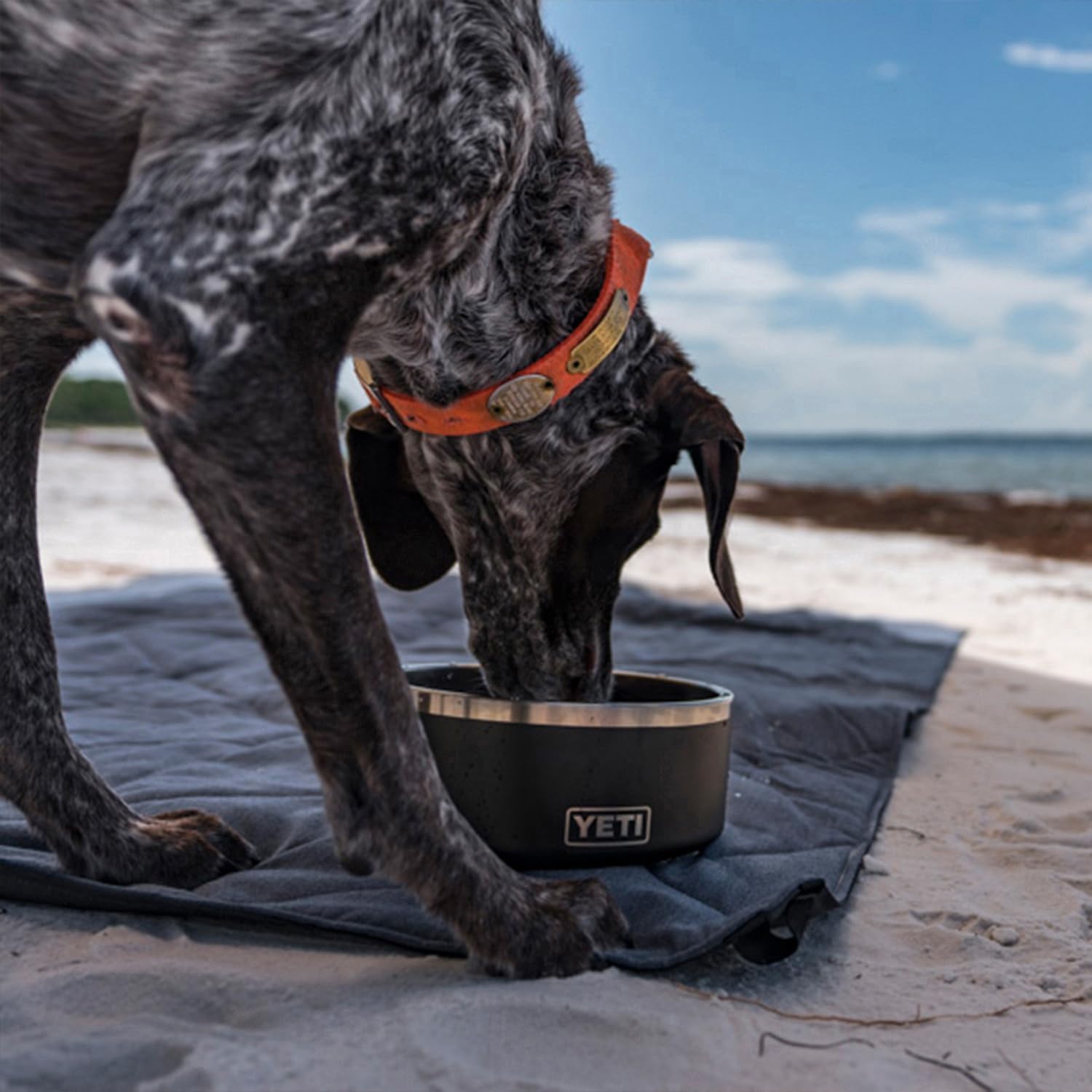 Modern stainless steel non-slip dog bowl with 64-ounce capacity for adult dogs โ view 4
