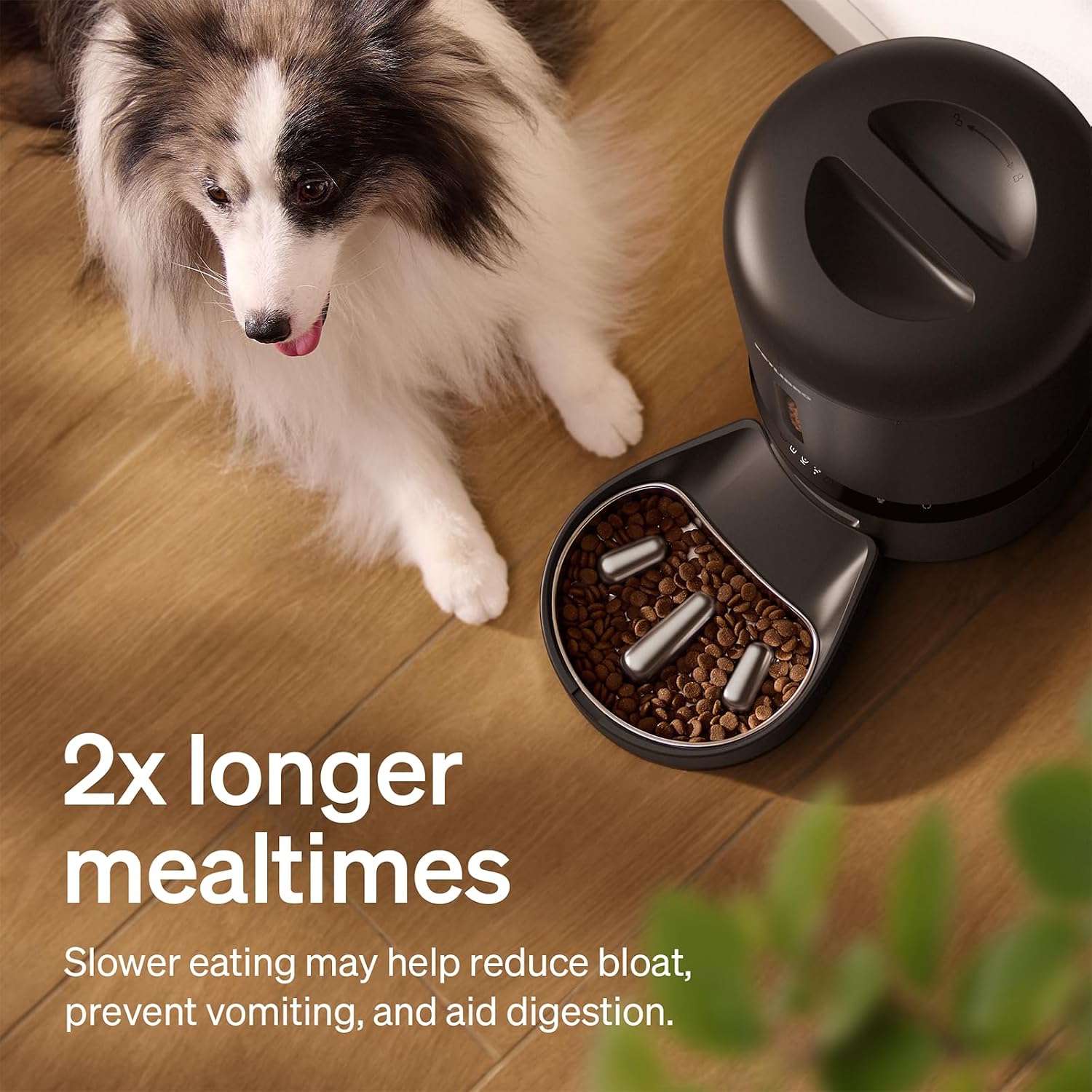 Stainless steel automatic dog feeder with built-in 1080P camera and night vision for remote feeding monitoring — side