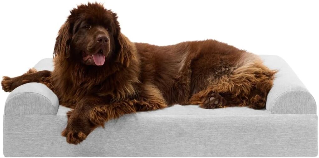 Orthopedic Dog Bed for Senior Dogs: Honest Review