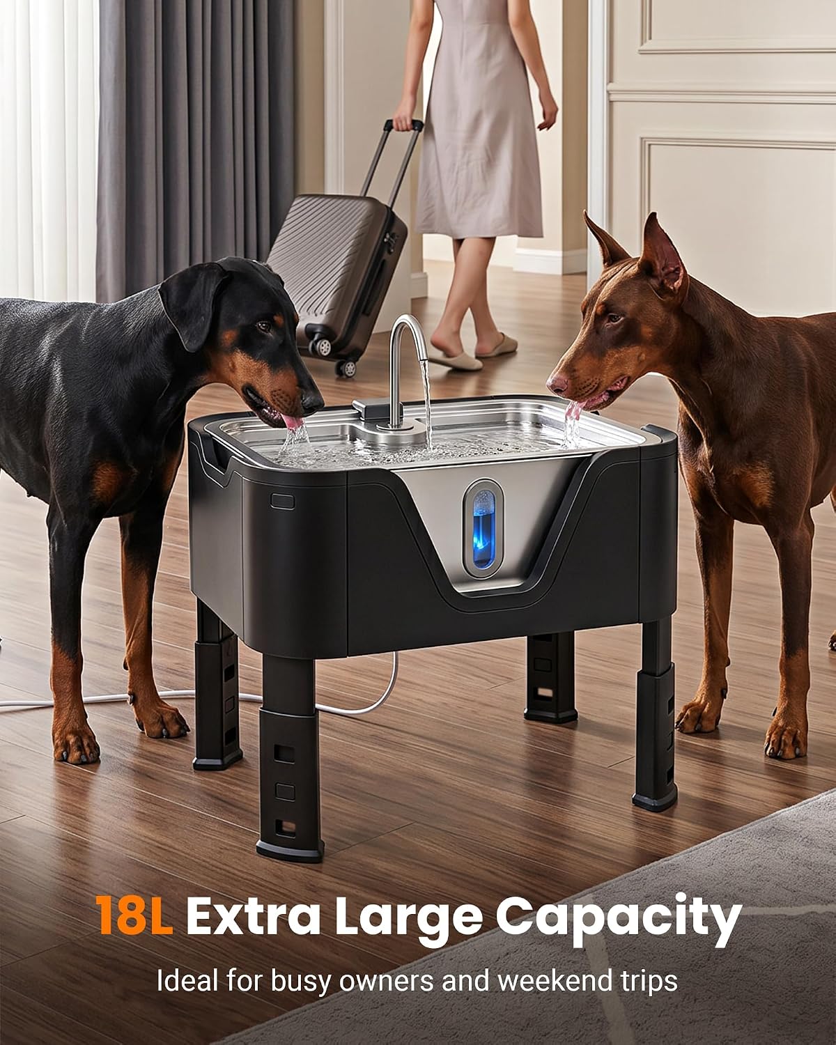 Large elevated stainless steel dog water fountain with 18L capacity and adjustable height settings for giant breed dogs — view 4